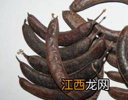 猪牙皂图片 猪牙皂的功效作用与食用方法