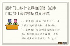 超市门口放什么绿植招财又旺财 超市门口放什么绿植招财