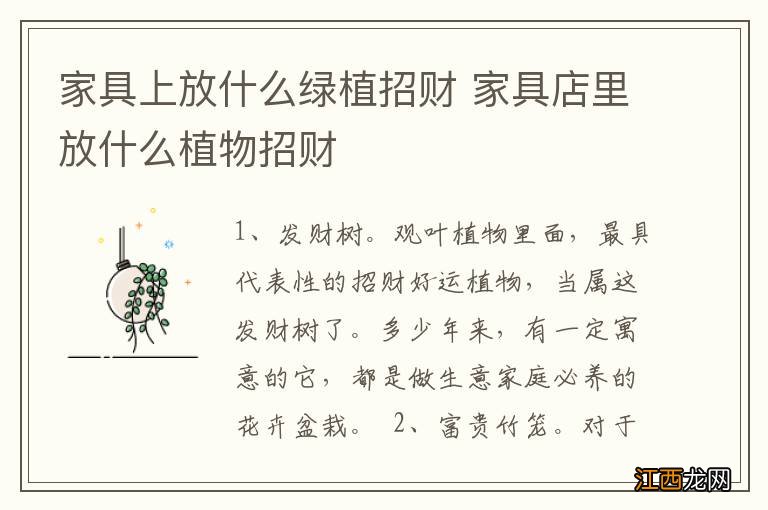 家具上放什么绿植招财 家具店里放什么植物招财