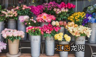 店铺门口放什么绿植招财 门窗店门口放什么绿植招财