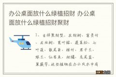 办公桌面放什么绿植招财 办公桌面放什么绿植招财聚财