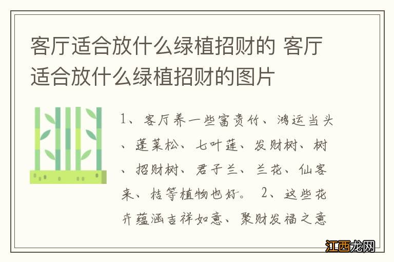 客厅适合放什么绿植招财的 客厅适合放什么绿植招财的图片