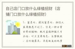 店铺门口放什么绿植招财 自己店门口放什么绿植招财