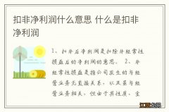 扣非净利润什么意思 什么是扣非净利润