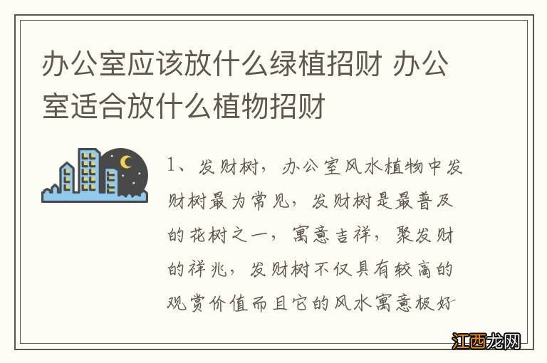 办公室应该放什么绿植招财 办公室适合放什么植物招财