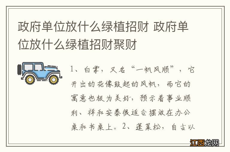 政府单位放什么绿植招财 政府单位放什么绿植招财聚财