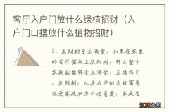 入户门口摆放什么植物招财 客厅入户门放什么绿植招财