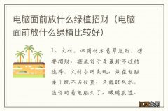 电脑面前放什么绿植比较好 电脑面前放什么绿植招财