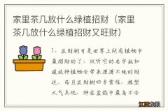 家里茶几放什么绿植招财又旺财 家里茶几放什么绿植招财