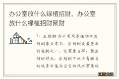 办公室放什么绿植招财，办公室放什么绿植招财聚财