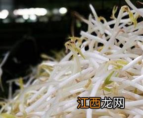 绿豆芽的功效与作用 绿豆芽的营养价值