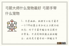 弓箭大师什么宠物最好 弓箭手带什么宠物