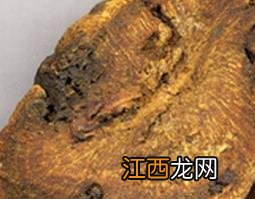 大黄的功效与作用