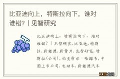 比亚迪向上，特斯拉向下，谁对谁错？| 见智研究