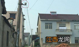 邻居家违章建筑影响我家怎么办