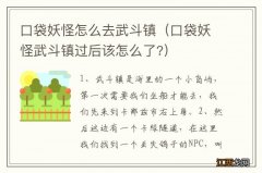 口袋妖怪武斗镇过后该怎么了? 口袋妖怪怎么去武斗镇