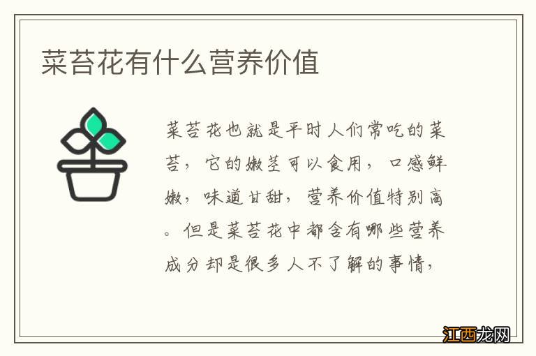 菜苔花有什么营养价值