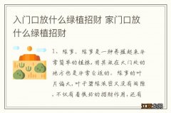 入门口放什么绿植招财 家门口放什么绿植招财