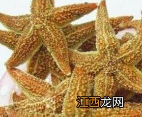 海星怎么吃 海星的吃法技巧