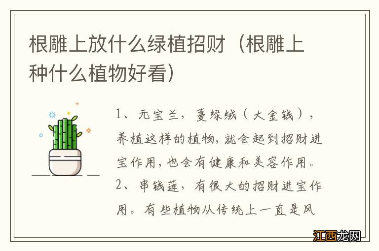 根雕上种什么植物好看 根雕上放什么绿植招财