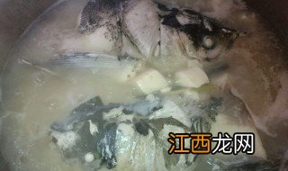 鲢鱼炖豆腐 鲢鱼炖豆腐的做法