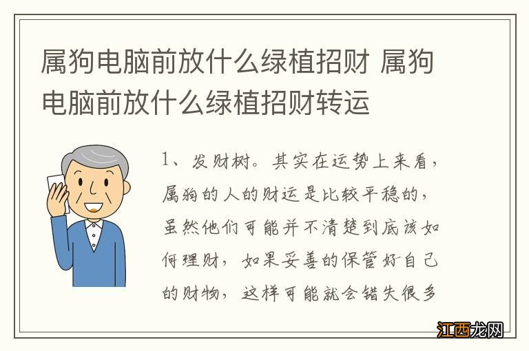 属狗电脑前放什么绿植招财 属狗电脑前放什么绿植招财转运