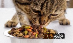 海瑞特猫粮属于什么档次 海瑞特猫粮怎么样