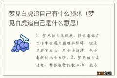 梦见白虎追自己是什么意思 梦见白虎追自己有什么预兆