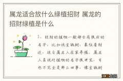 属龙适合放什么绿植招财 属龙的招财绿植是什么