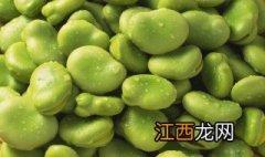 蚕豆适合在树荫下种植吗视频 蚕豆适合在树荫下种植吗?