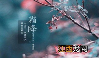 霜降节气吃什么 霜降节气吃什么好