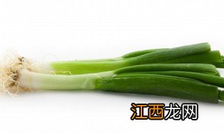 在家怎么种葱和香菜 在家怎么种葱