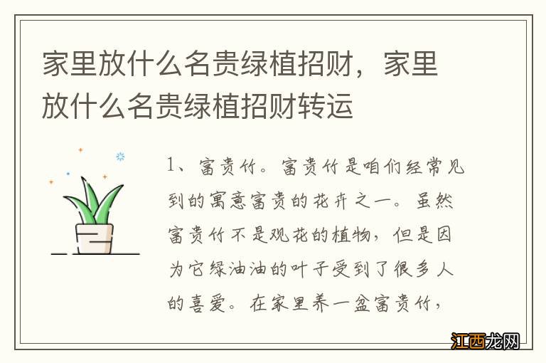 家里放什么名贵绿植招财，家里放什么名贵绿植招财转运