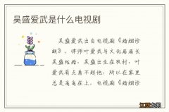 吴盛爱武是什么电视剧