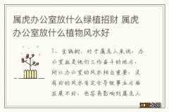 属虎办公室放什么绿植招财 属虎办公室放什么植物风水好