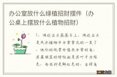 办公桌上摆放什么植物招财 办公室放什么绿植招财摆件