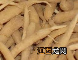 太子参的功效与作用