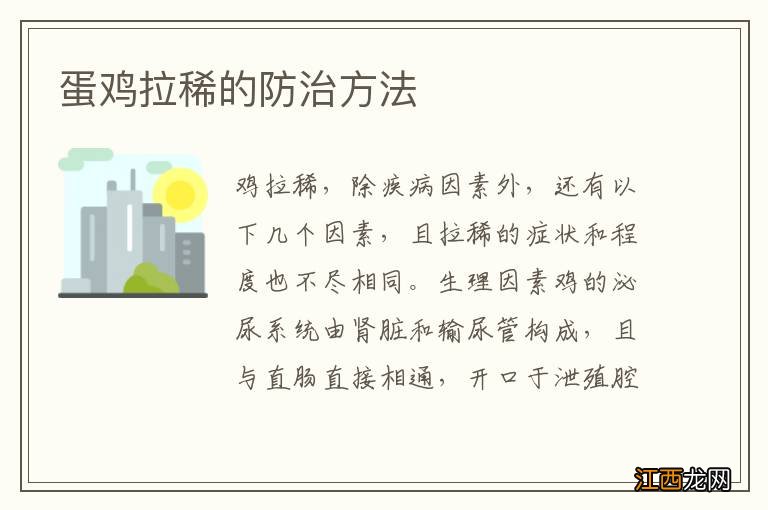 蛋鸡拉稀的防治方法