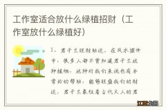 工作室放什么绿植好 工作室适合放什么绿植招财