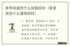 家里排放什么植物招财 家用电器放什么绿植招财