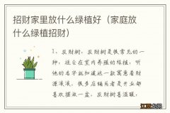 家庭放什么绿植招财 招财家里放什么绿植好