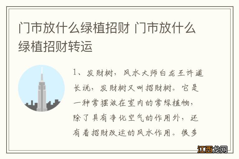 门市放什么绿植招财 门市放什么绿植招财转运