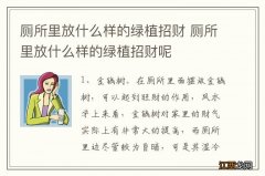 厕所里放什么样的绿植招财 厕所里放什么样的绿植招财呢