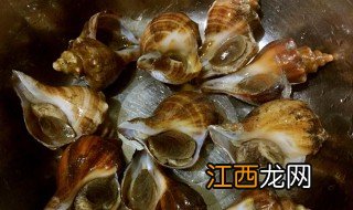 海螺煮几分钟才熟透 海螺煮几分钟才熟