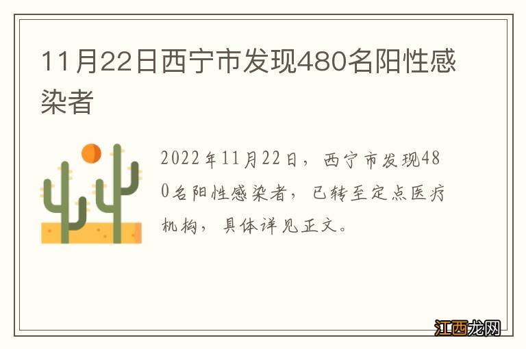 11月22日西宁市发现480名阳性感染者