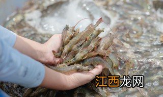 青虾煮几分钟可以熟透，青虾煮几分钟能熟