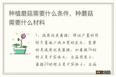 种植磨菇需要什么条件，种蘑菇需要什么材料