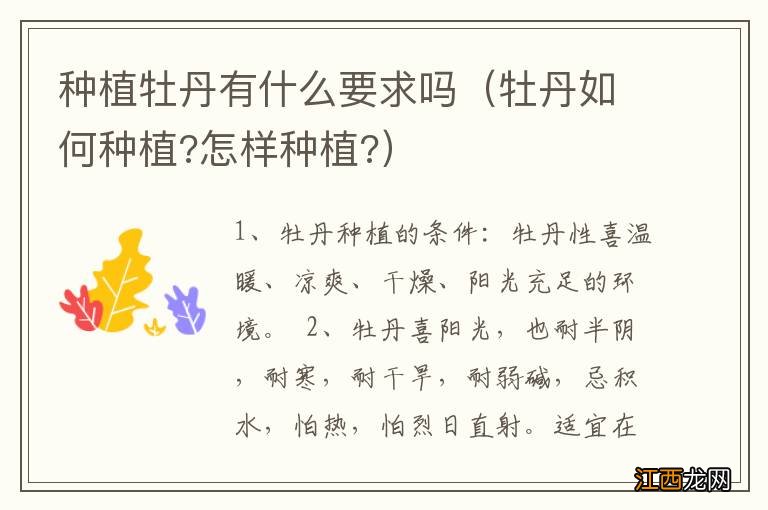 牡丹如何种植?怎样种植? 种植牡丹有什么要求吗