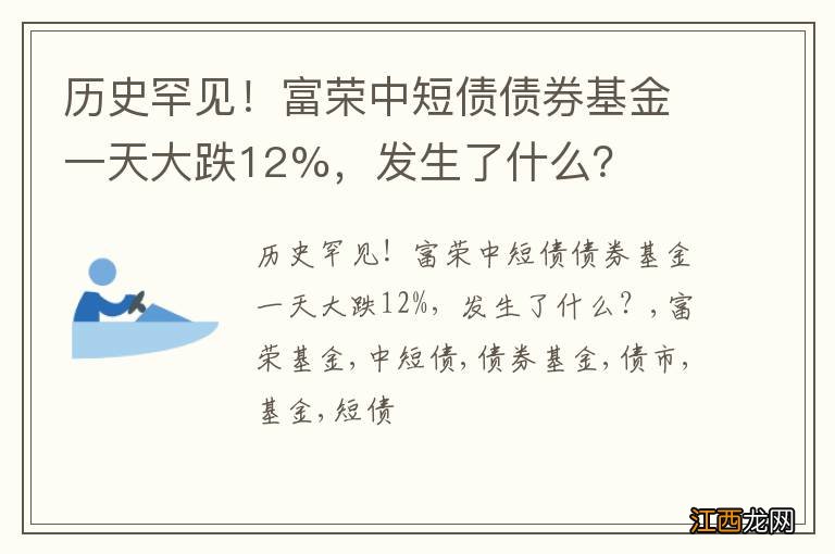 历史罕见！富荣中短债债券基金一天大跌12%，发生了什么？