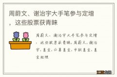 周蔚文、谢治宇大手笔参与定增，这些股票获青睐